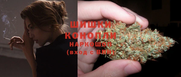 spice Богданович