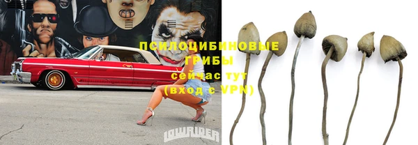 Альфа ПВП Новый Уренгой