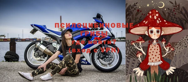 spice Богданович