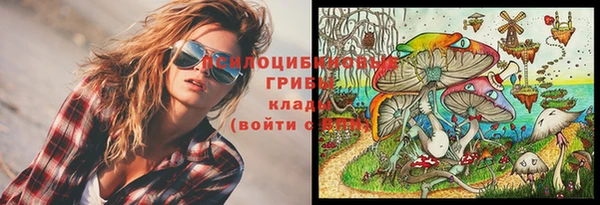 гашик Богородицк