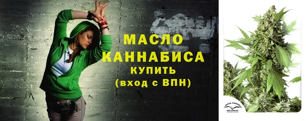гашик Богородицк