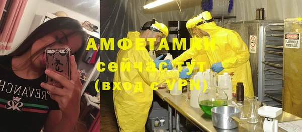 сатива Бронницы
