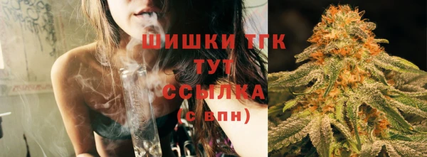 гашик Богородицк