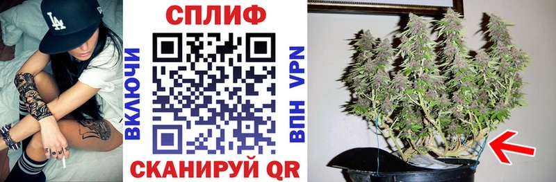 МАРИХУАНА Amnesia  Верещагино 